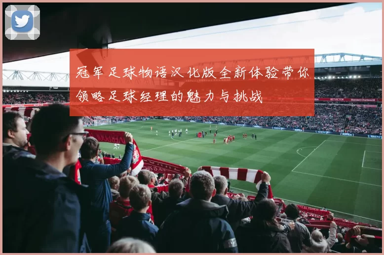 冠军足球物语汉化版全新体验带你领略足球经理的魅力与挑战
