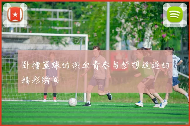 卧槽篮球的热血青春与梦想追逐的精彩瞬间