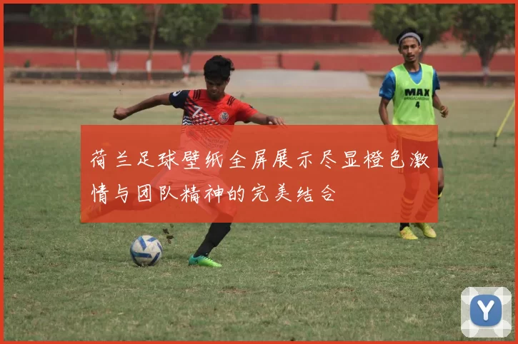 荷兰足球壁纸全屏展示尽显橙色激情与团队精神的完美结合