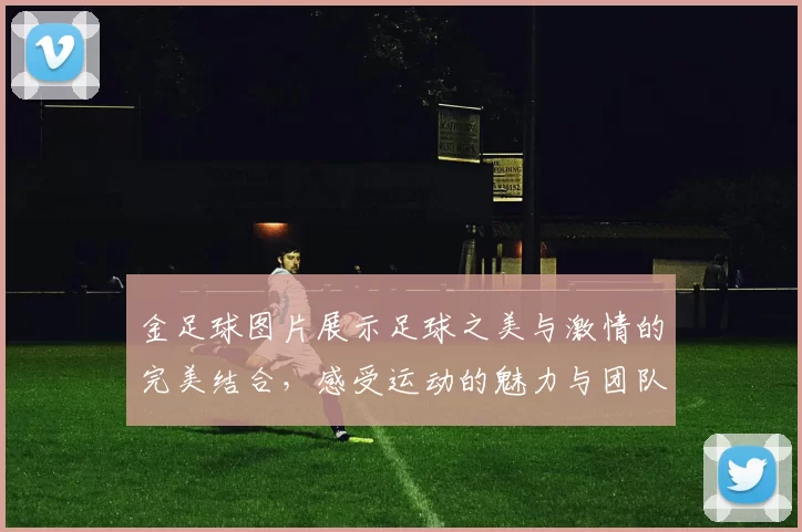金足球图片展示足球之美与激情的完美结合，感受运动的魅力与团队的精神
